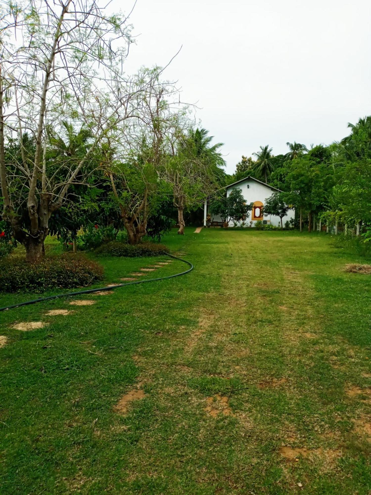 Hideaway Homestay Habarana Exterior foto