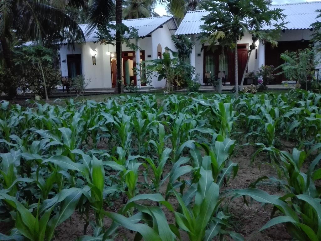 Hideaway Homestay Habarana Exterior foto
